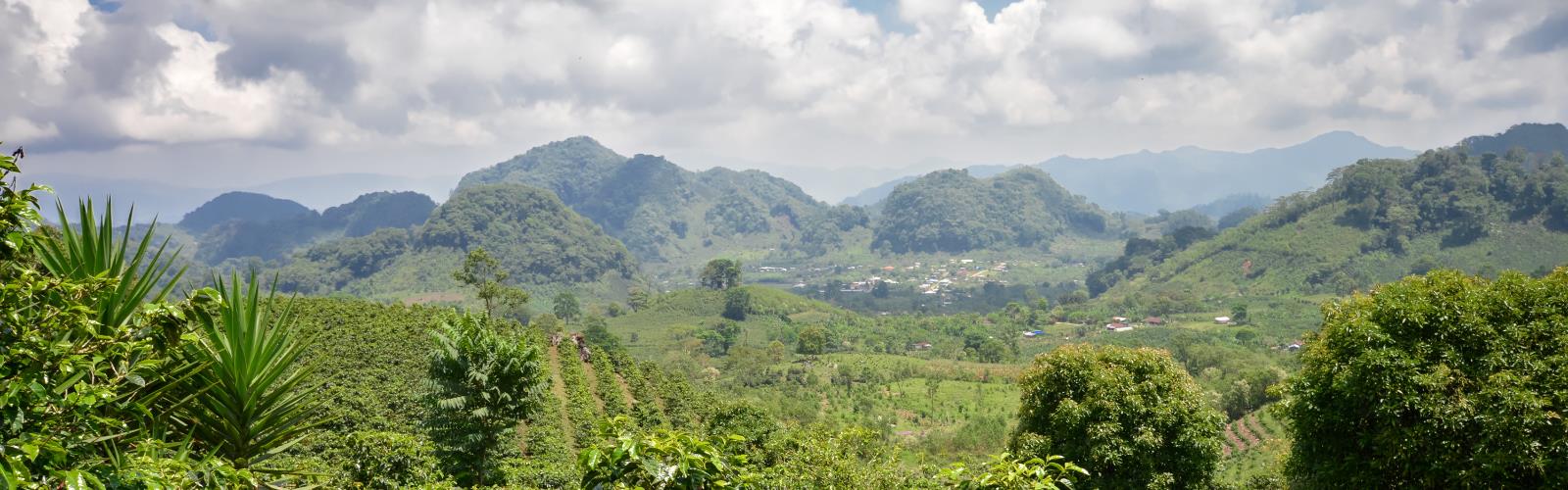 mountain outdoor sky nature tree grass cloud landscape plant hill green background hill station lush hillside surrounded highland