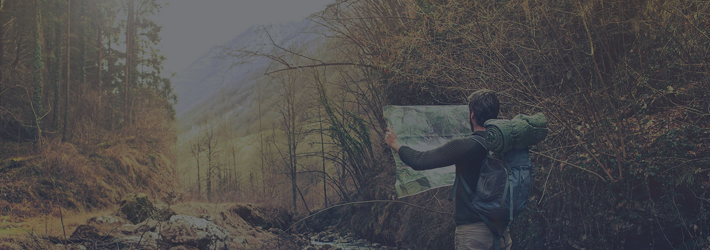 tree outdoor man person clothing painting nature jeans