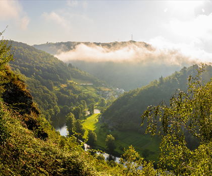 Auvergne-Rhône-Alpes
