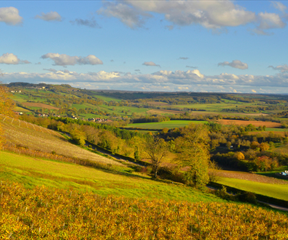 Bourgogne-Franche-Comté