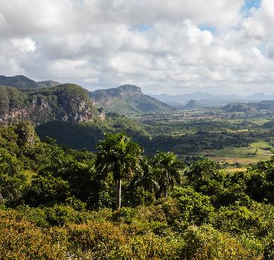 Cuba  mountain outdoor sky nature landscape cloud tree background hill hill station plant hillside grassy overlooking lush highland land palm tree