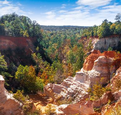Georgia  valley tree canyon nature mountain outdoor plant sky landscape rock autumn fall forest wood surrounded hillside land