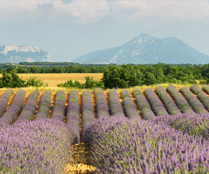 Alpes-de-Haute-Provence